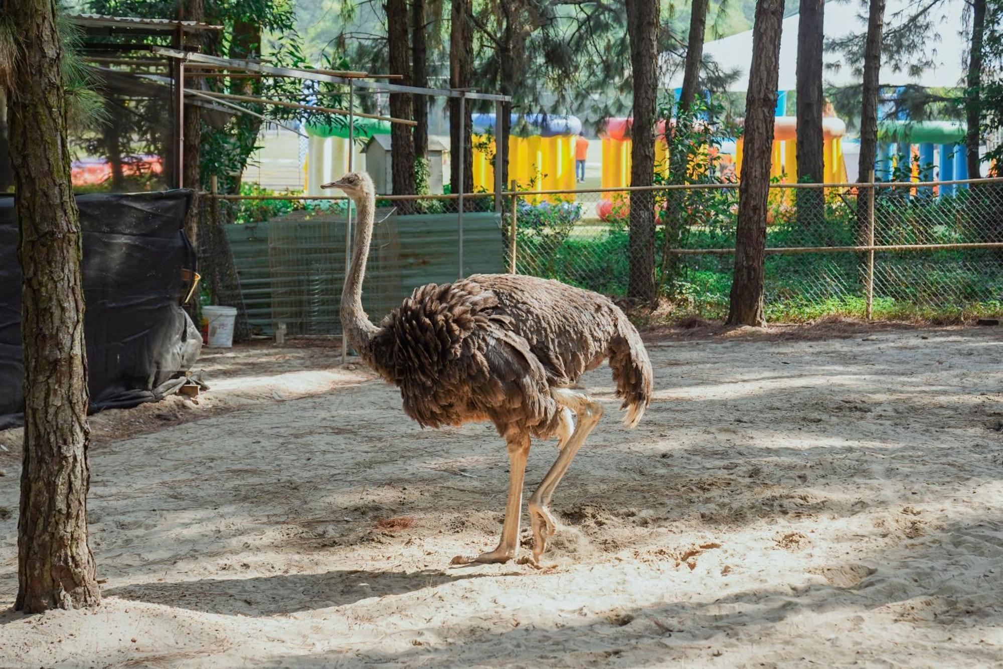 Flamingo Resort Dai Lai Ngoc Quang المظهر الخارجي الصورة